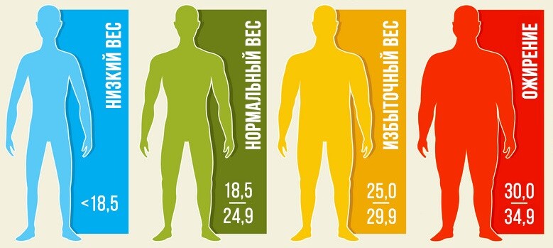 Индекс массы тела (ИМТ)