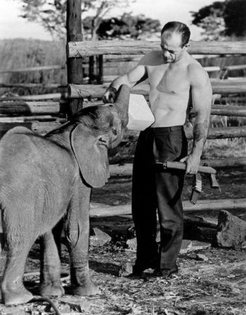 Артур Джонс и его слоненок